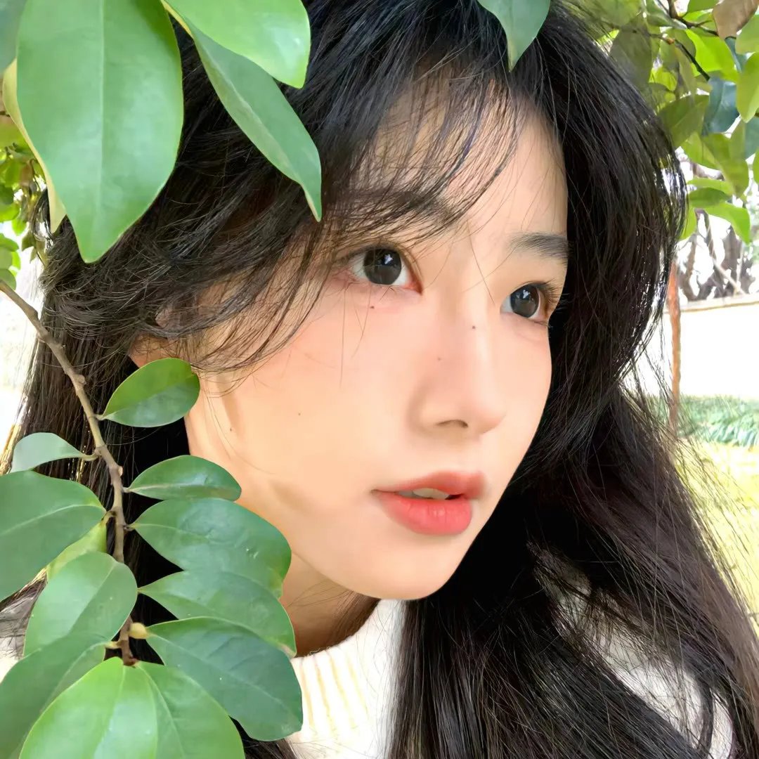 河伯的新娘2017